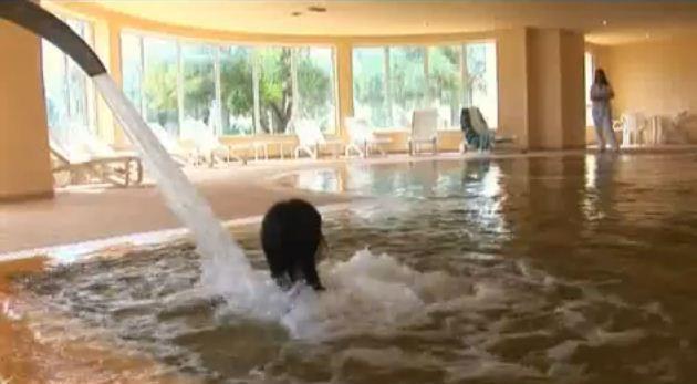 Zephir Hotel & Spa Dżardżis Zewnętrze zdjęcie